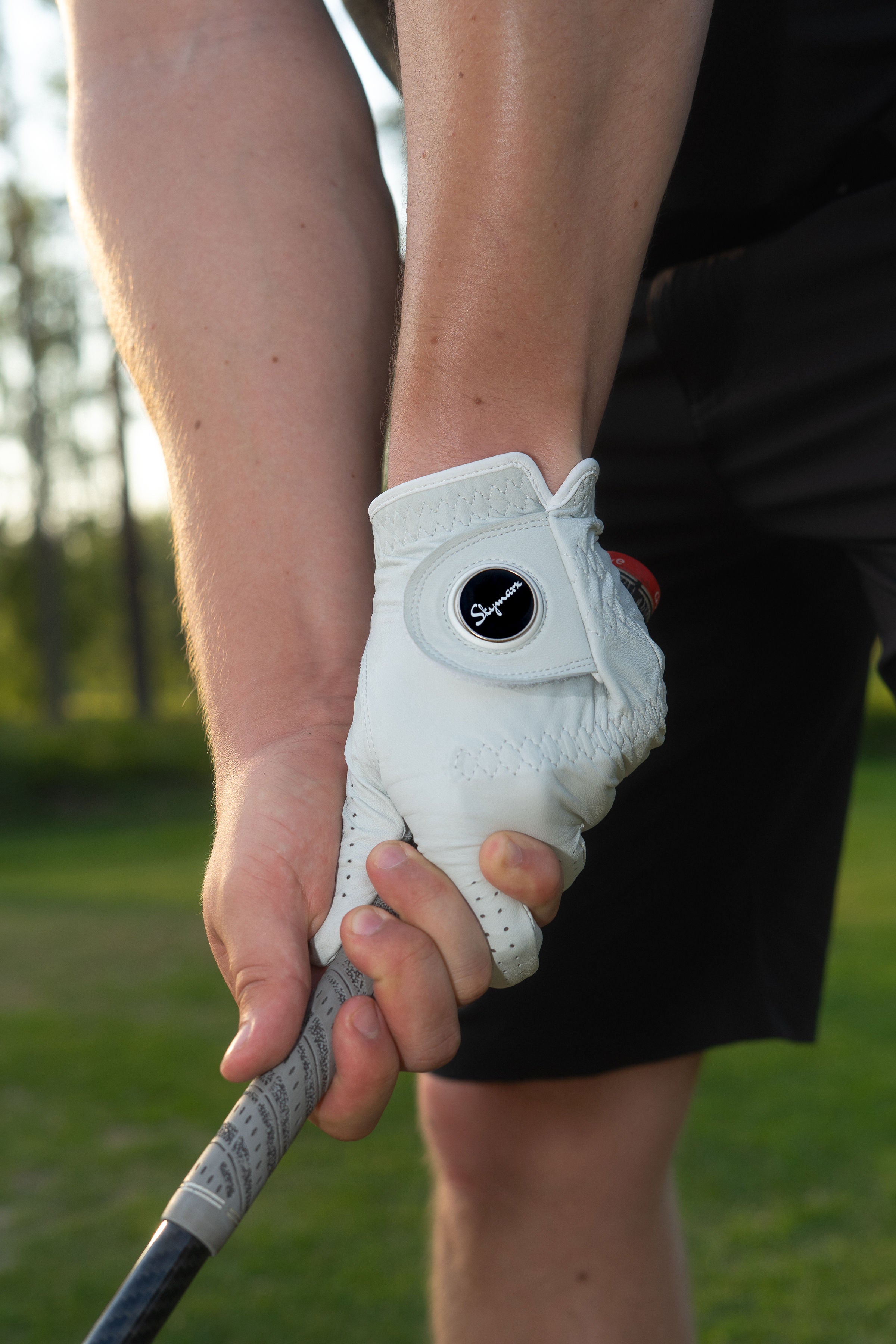 Golfhanskat