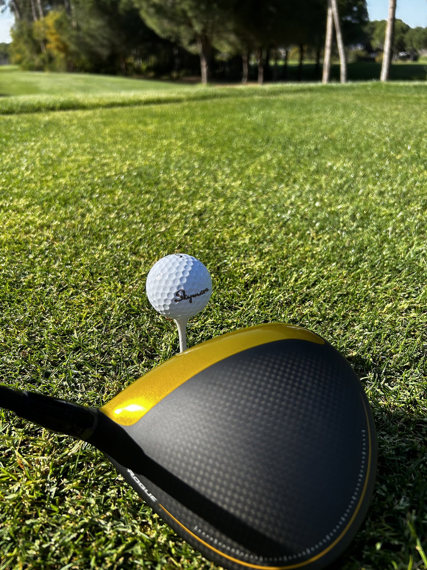 kultainen suojakalvo draiveriin golf